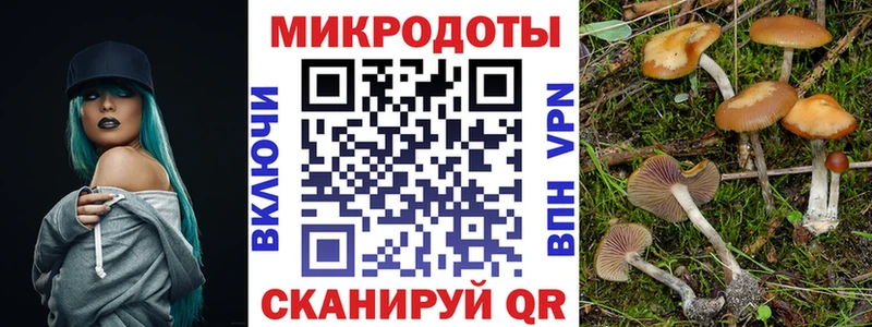МЕГА как войти  Яровое  Галлюциногенные грибы Psilocybine cubensis 